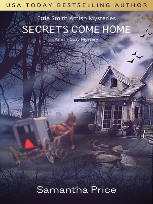 Cover image for Secrets Come Home